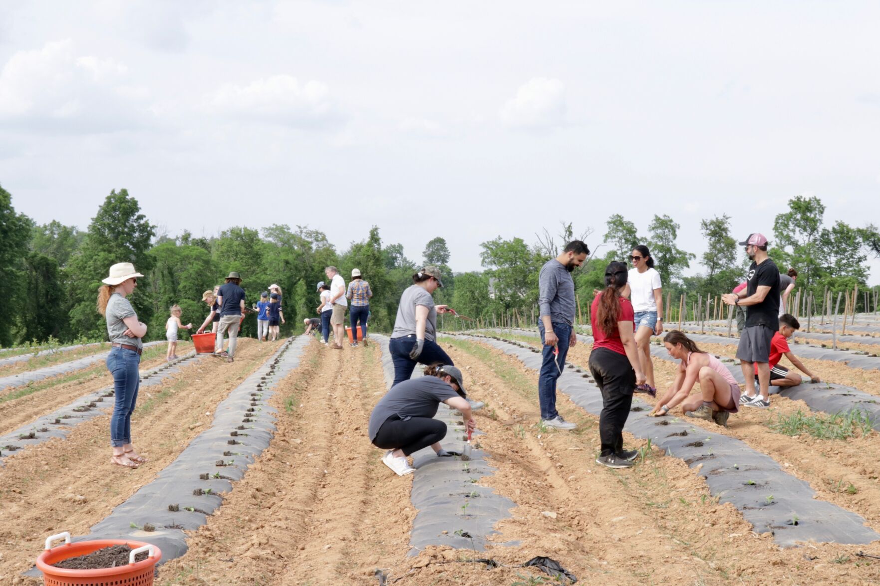 JK Plant-A-Thon 7